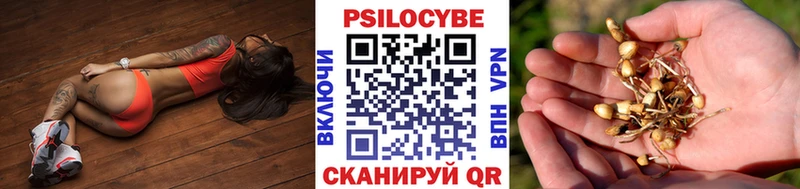 Псилоцибиновые грибы мухоморы  МЕГА ссылки  Якутск 