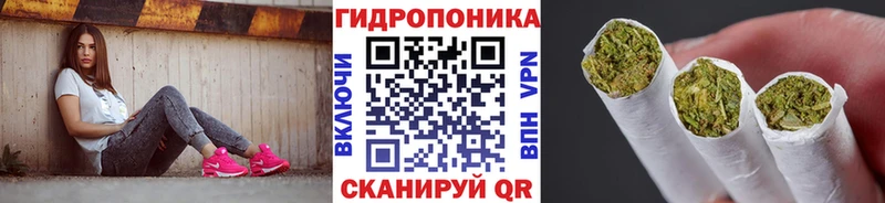 Бошки марихуана VHQ  мега маркетплейс  Якутск 